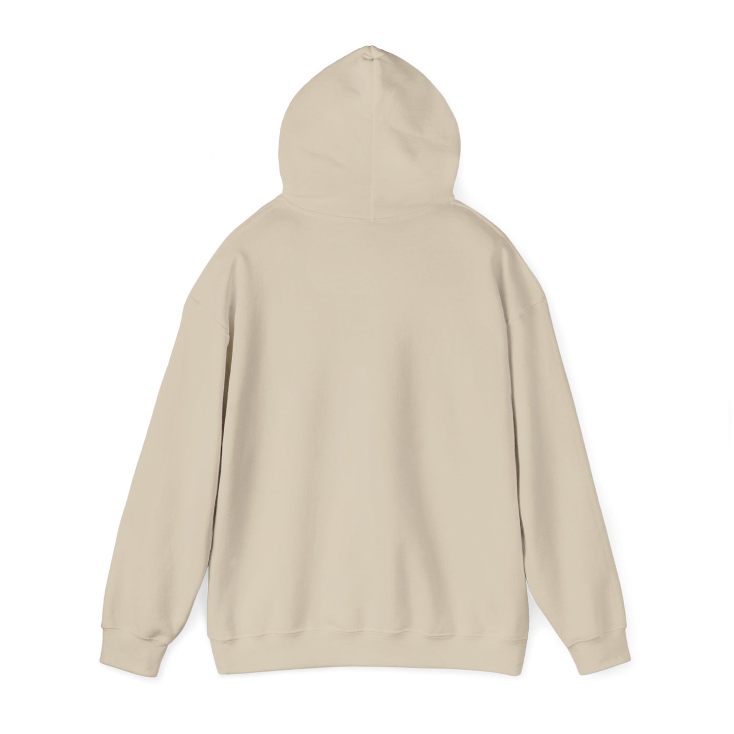 Find Your Horse Magic Hooded Sweatshirt