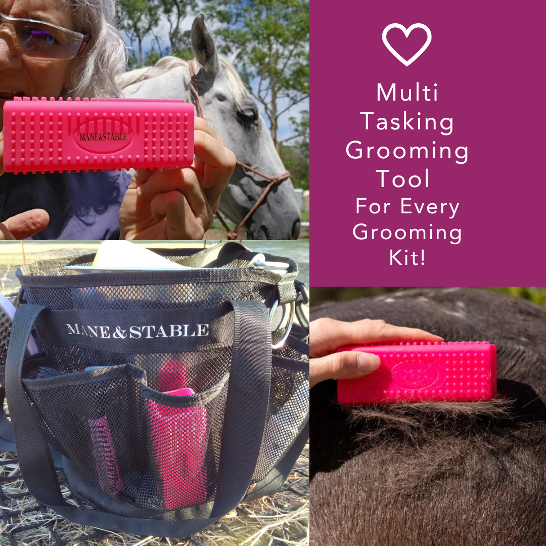 Horse Curry Grooming Block