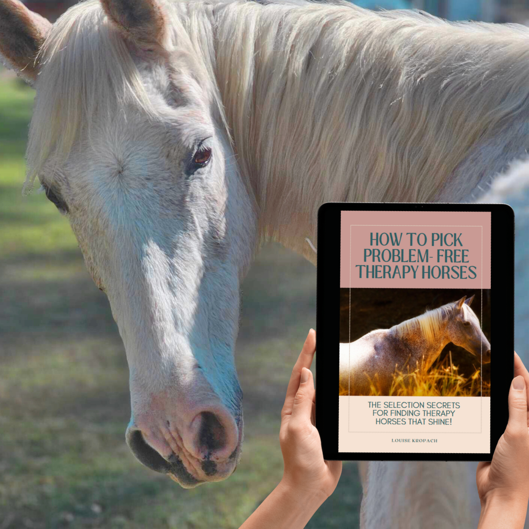 Therapy Horses - Your Road Map To Choosing The Perfect Therapy Horse