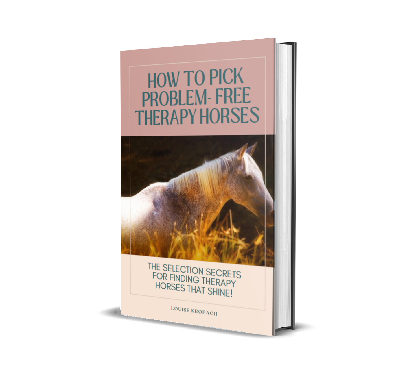 Therapy Horses - Your Road Map To Choosing The Perfect Therapy Horse
