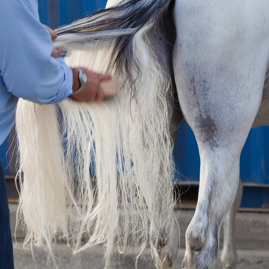 How Busy Riders Can Master Horse Grooming in 15 Minutes: Your Complete Time-Saving Guide