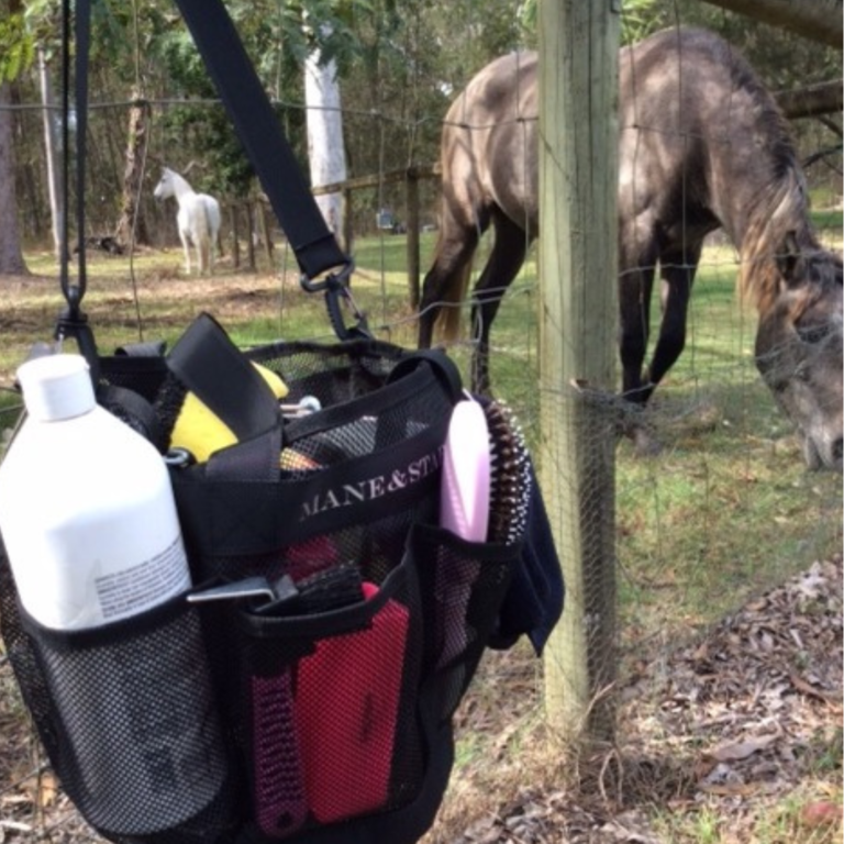 mane & stable horse grooming kit