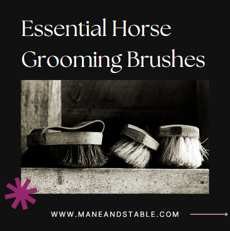 Essential Horse Grooming Brushes guide